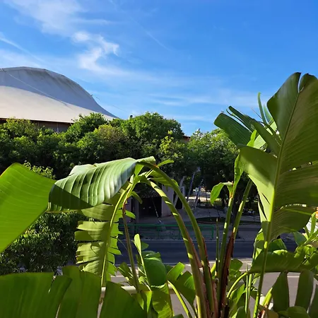 Prana Guesthouse, Yoga & Ayurveda בית הארחה פורטימאו